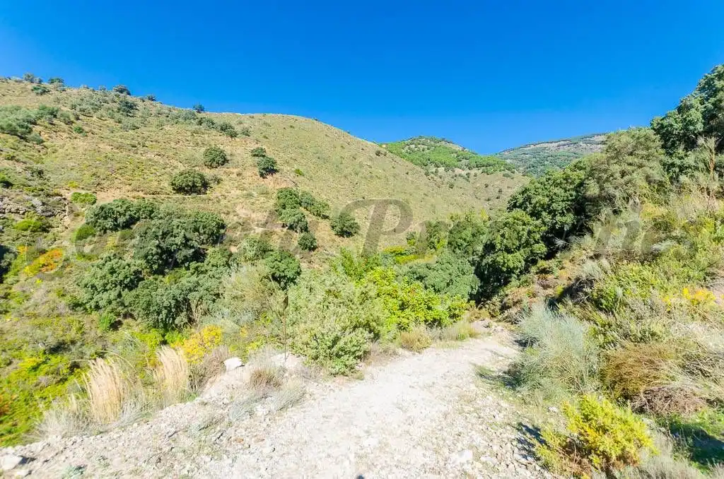 Terreny rústic en venda a Canillas de Albaida, imagen 3