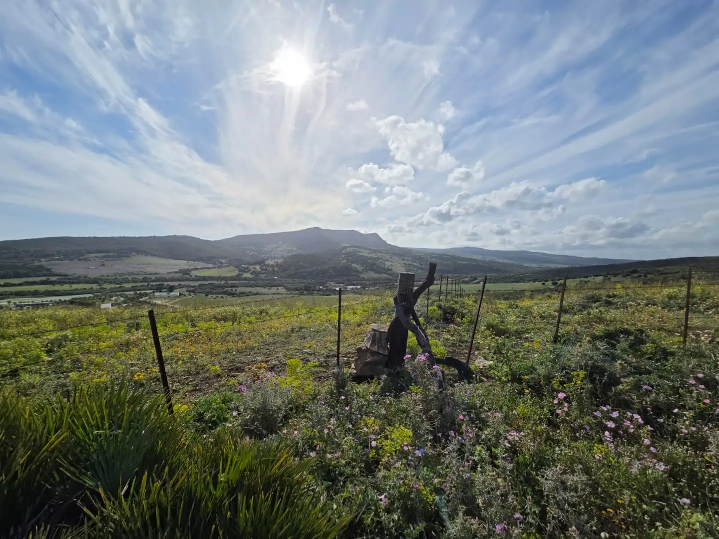 Terreno en venta en Tarifa