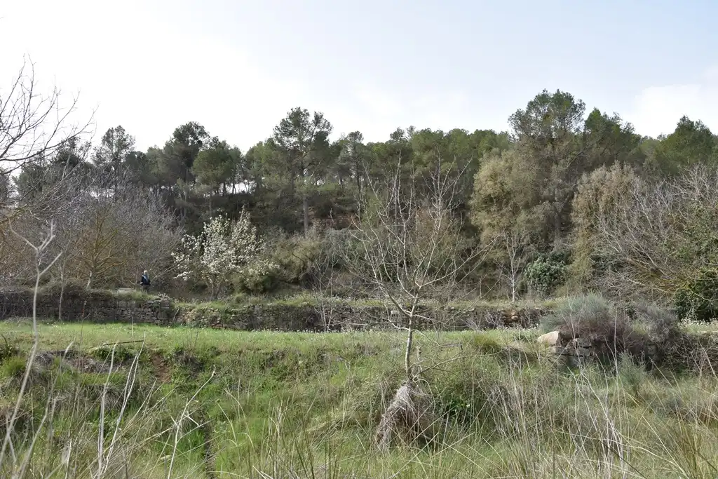 Terreni e lotti in vendita a Arens de Lledó, imagen 3