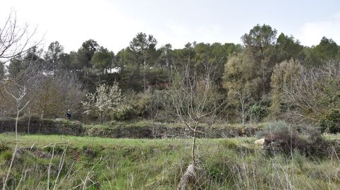 Foto 3 de Terreny en venda a Arens de Lledó, Teruel