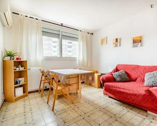 Apartment to share in Badia del Vallès