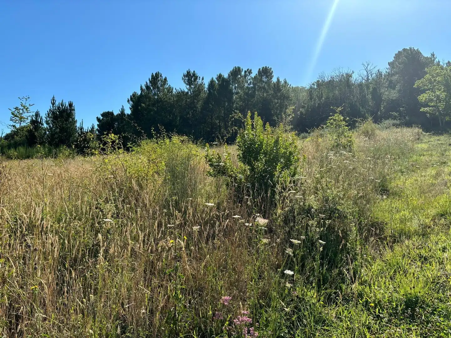 Residencial en venta en Arganza