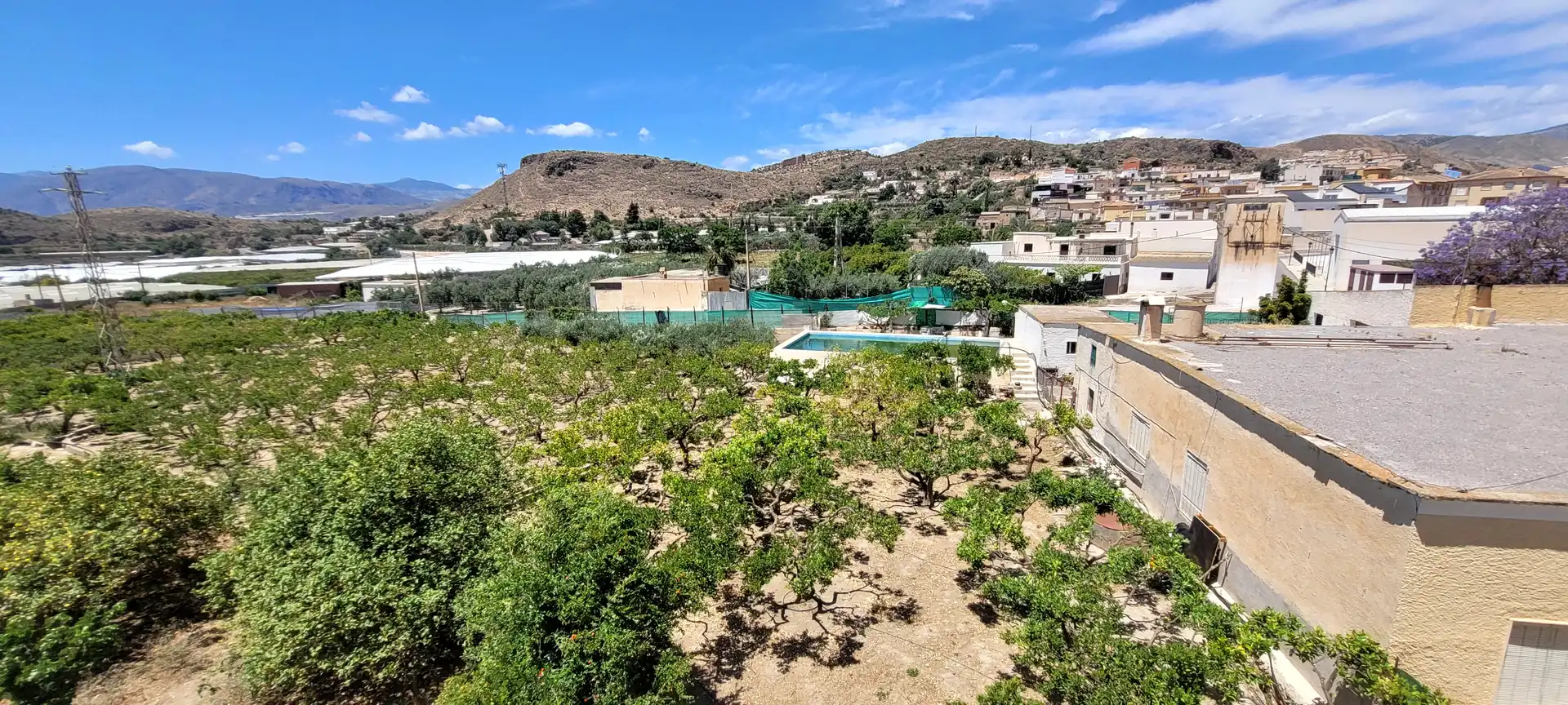 Vista exterior de Finca rústica en venta en Berja con Jardín privado, Terraza y Piscina