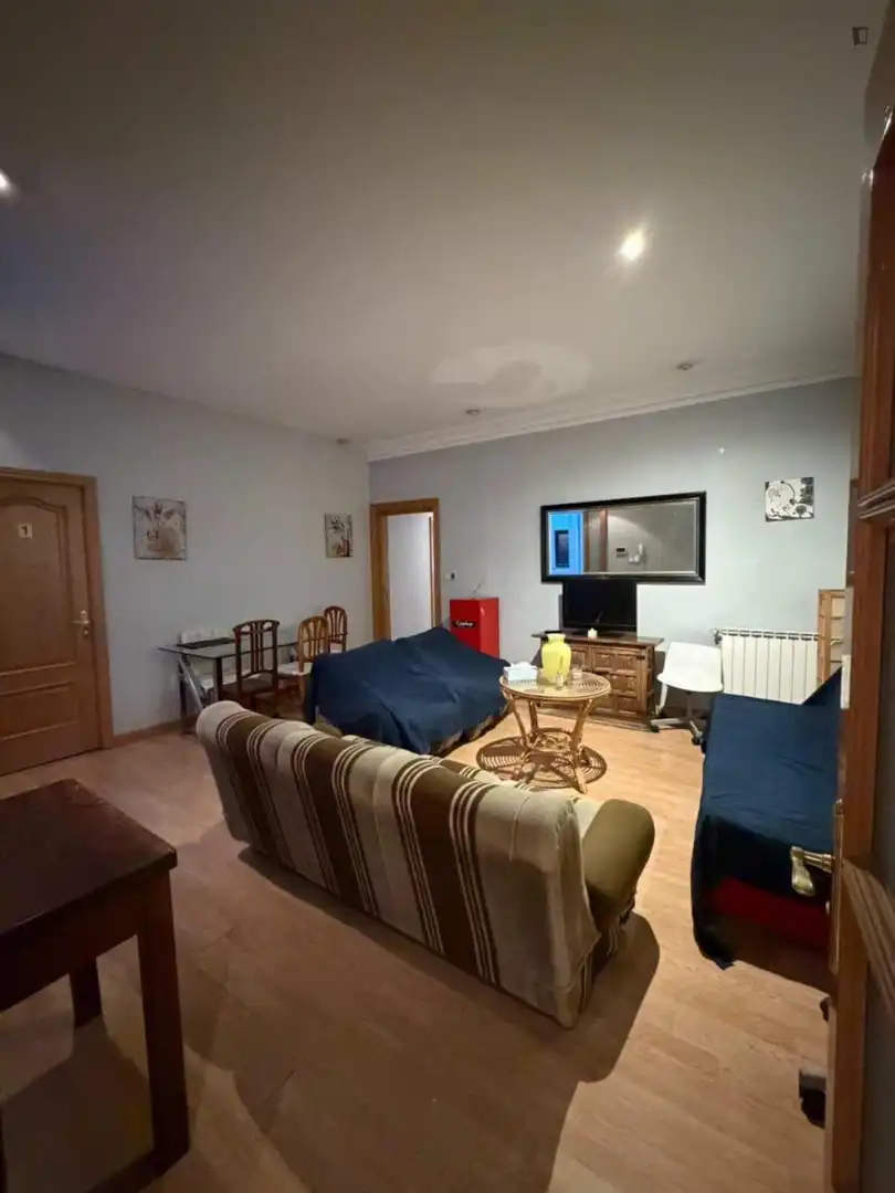 Sala d'estar de Apartament per a compartir en Madrid amb Calefacció, Moblat i Forn