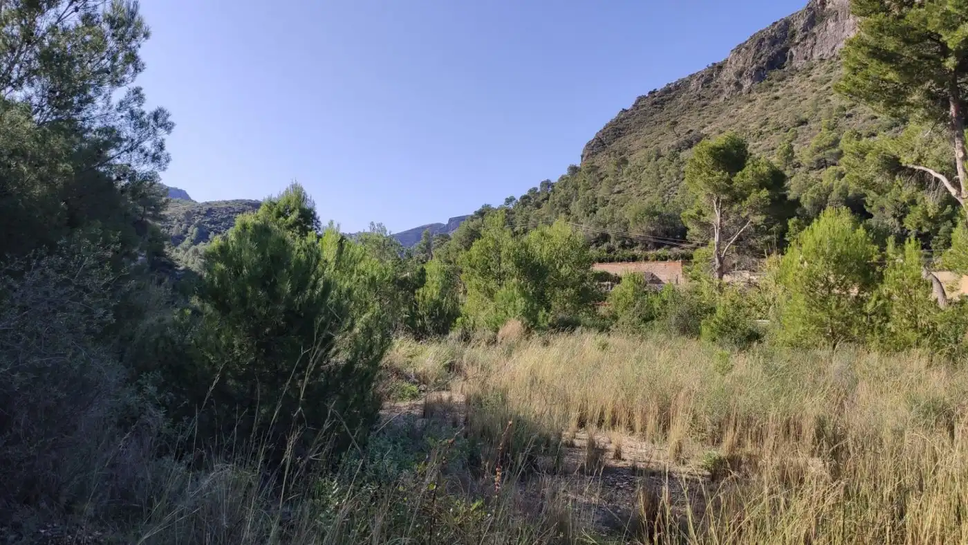 Finca rústica en venta en L'Atzúbia