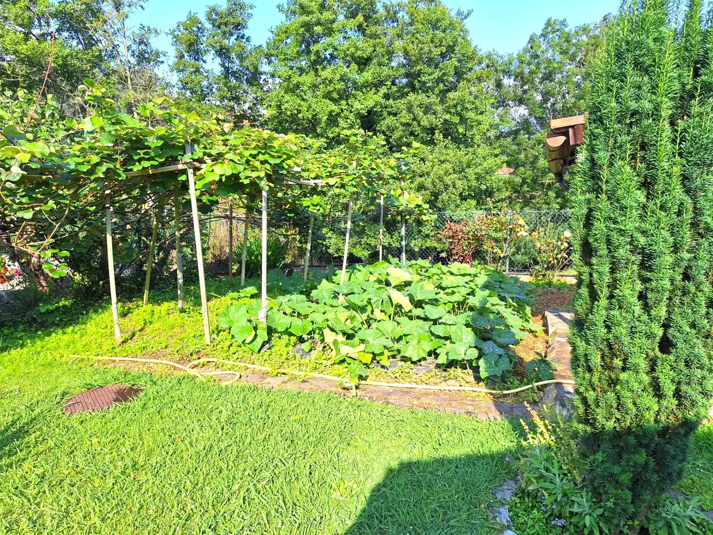 Villa con terrazza in vendita a Barrio Sámano, imagen 45