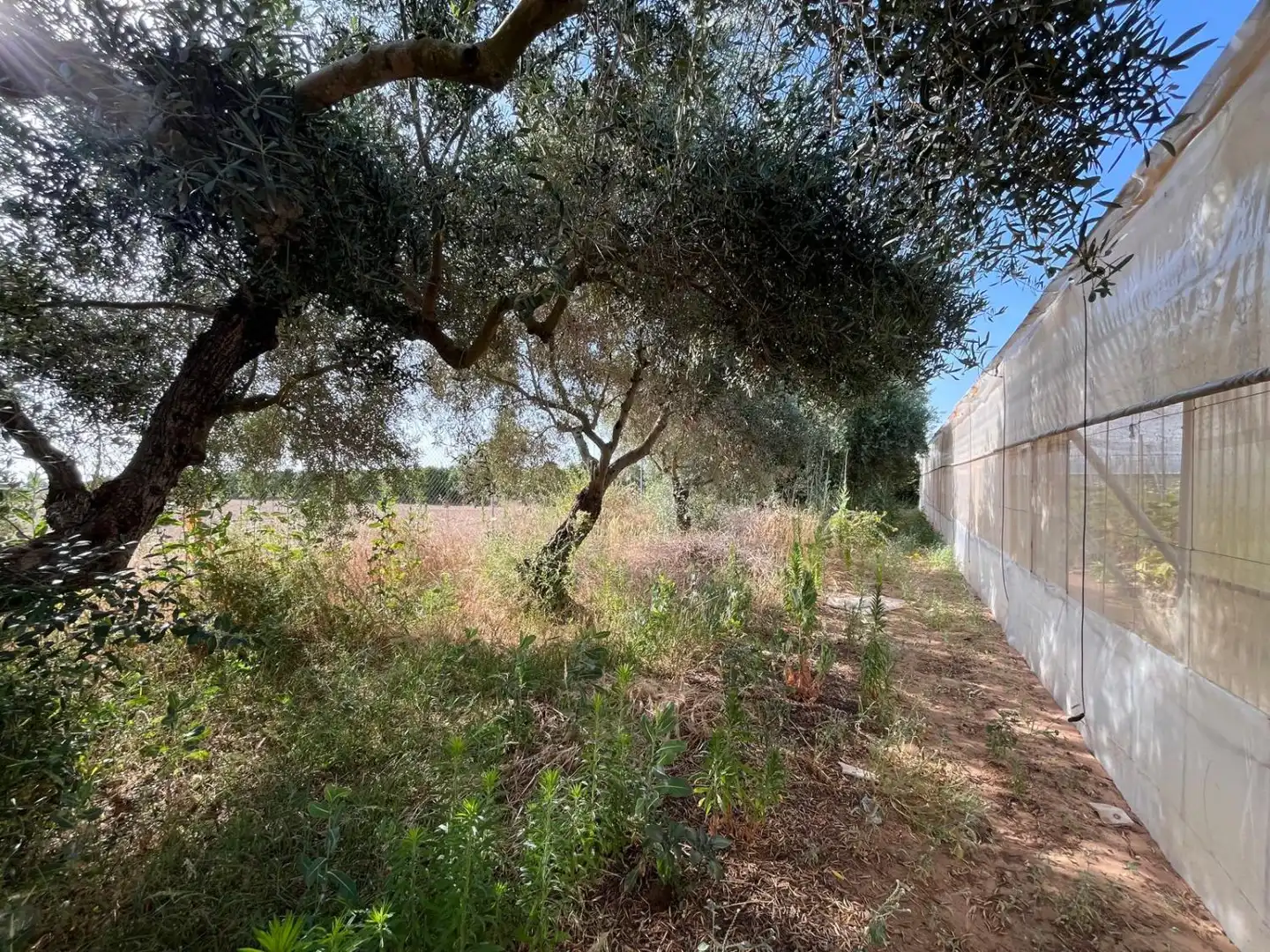 Finca rústica en venta en Utrera