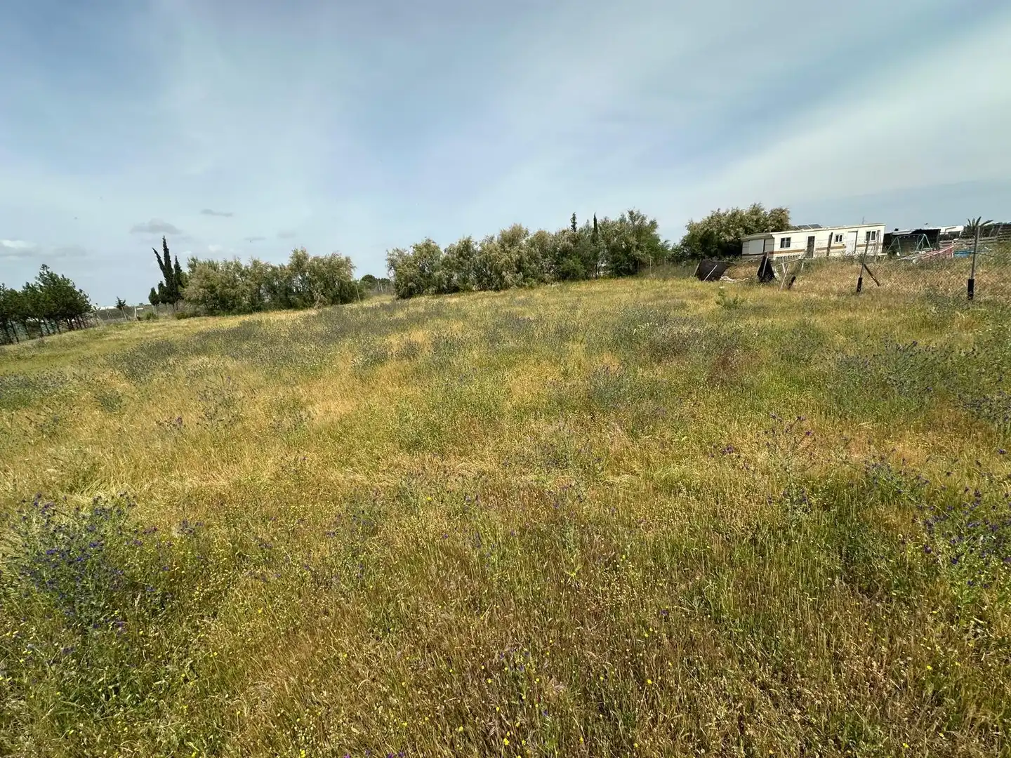 Land for sale in Utrera