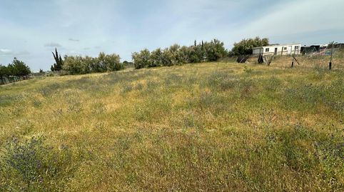 Photo 5 of Land for sale in Las Torres - Constelaciones, Utrera