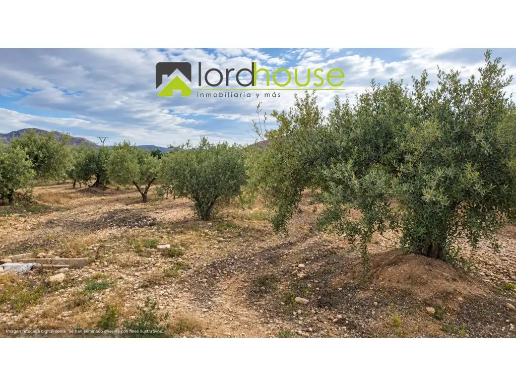 Casa o xalet en venda en Lorca