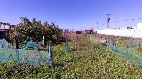Espectacular parcela segregada en la zona de Patria en Vejer., Bild 3