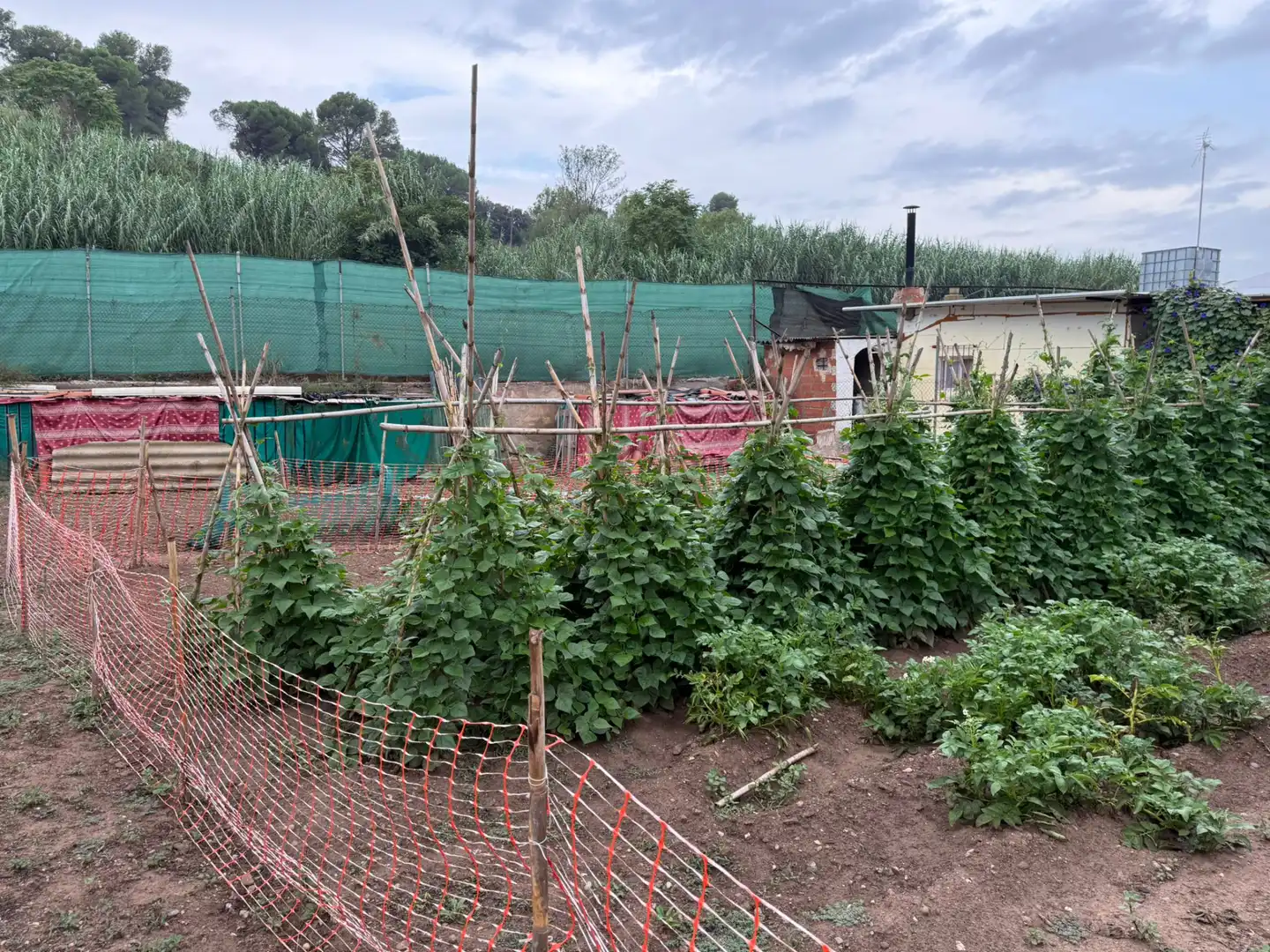 Jardín de Terreno en venta en Sabadell