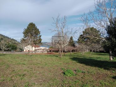 Terreno residenziale in vendita a VIEJA
