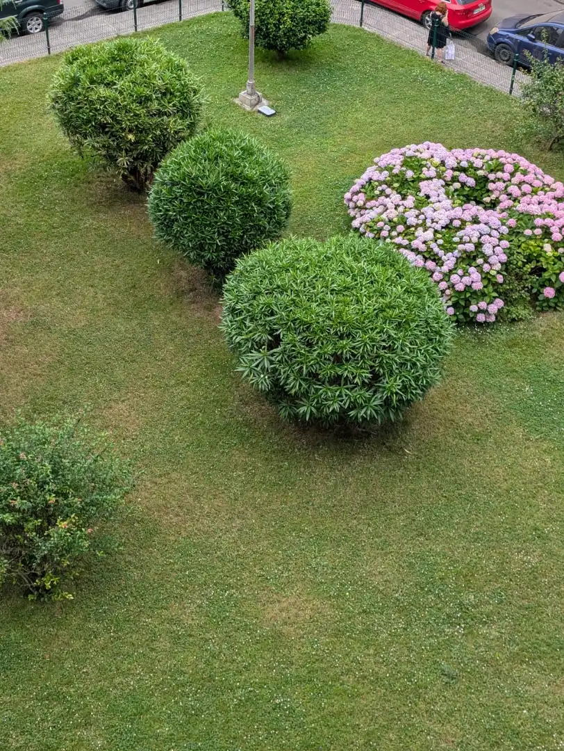 Garden of Flat for sale in Gijón   with Heating, Private garden and Parquet flooring