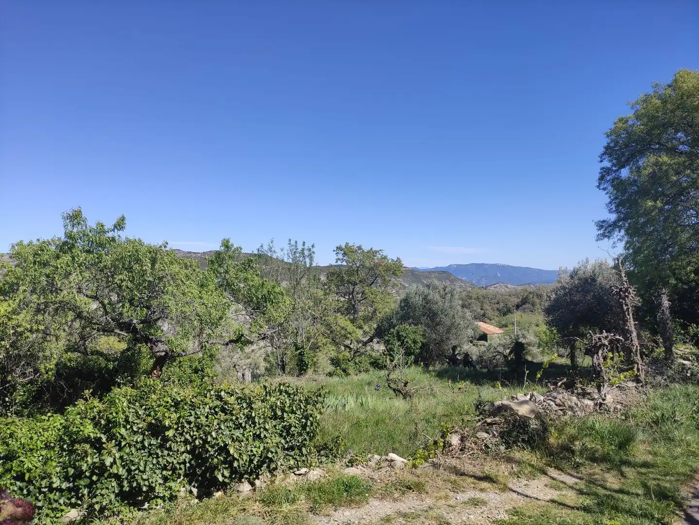 Terreni e lotti in vendita a Aínsa-Sobrarbe, imagen 2