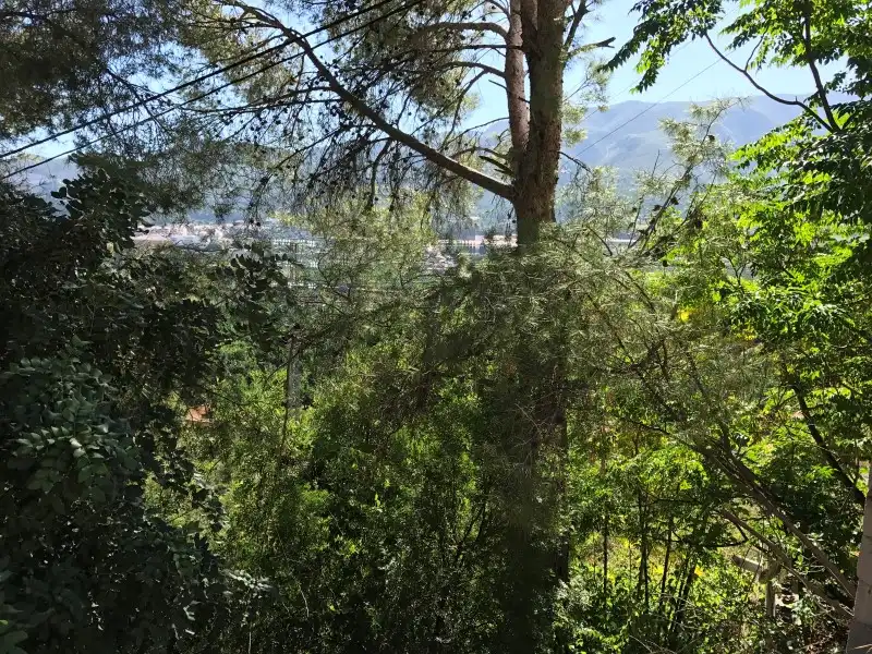 Terreno rústico en venta en Carrer Ametler, imagen 11