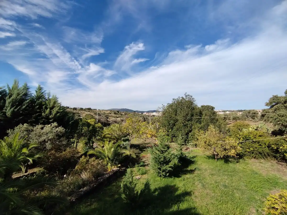Garden of Houses for sale in Plasencia  with Storage room
