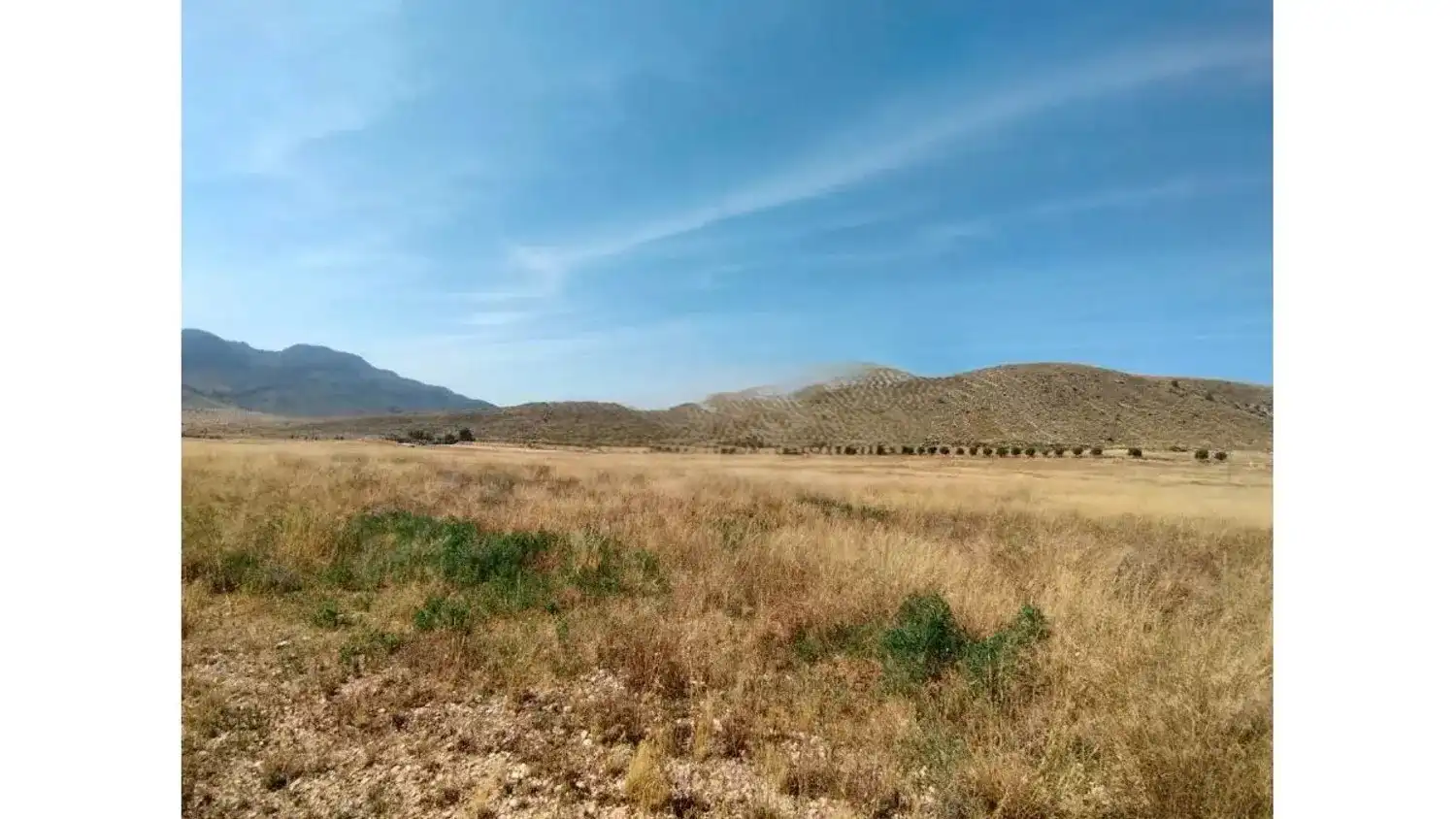 Residencial en venda a N/A, -1, Alhama de Murcia ciudad