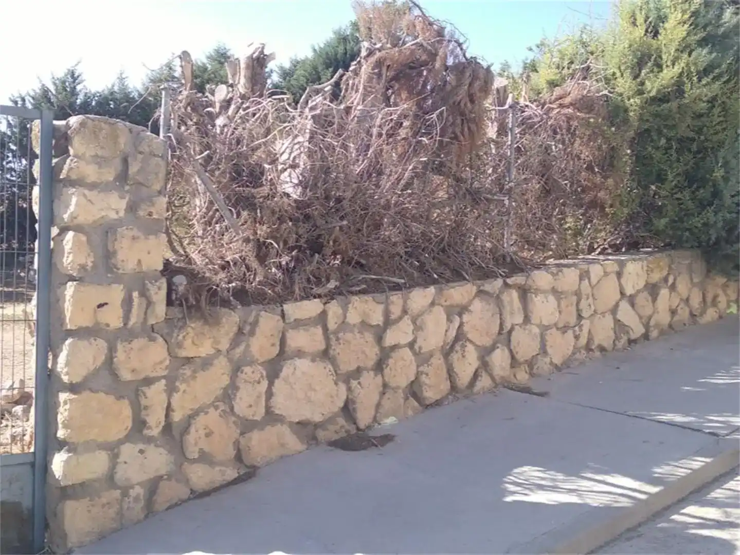 Vista exterior de Terreno en venta en Los Huertos