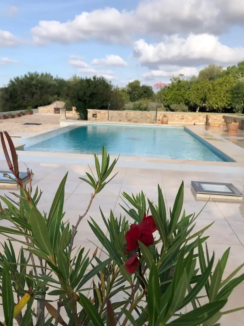 Swimming pool of Houses for rent in Porreres  with Terrace