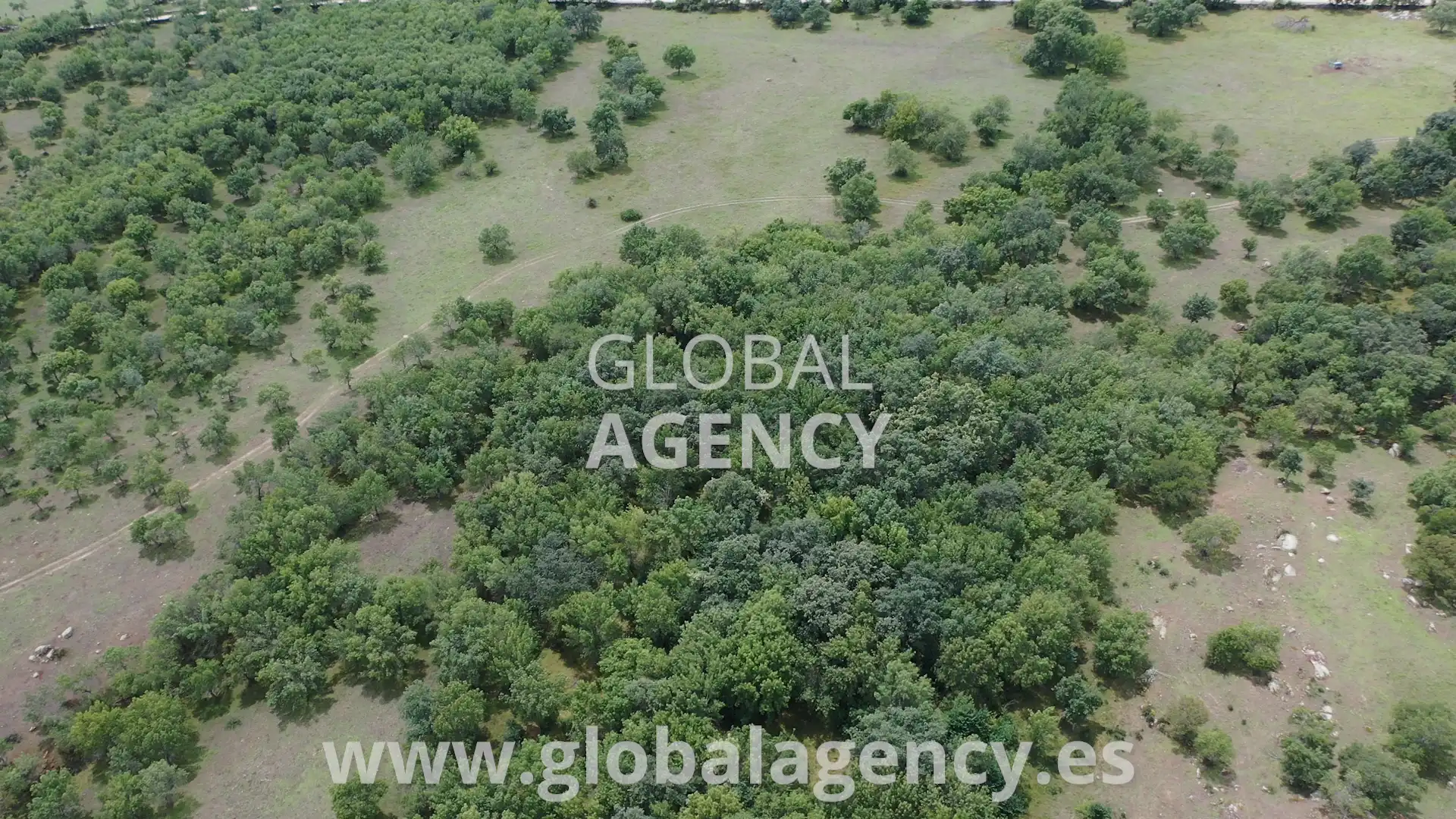 Rural land for sale in Soto del Real, imagen 2