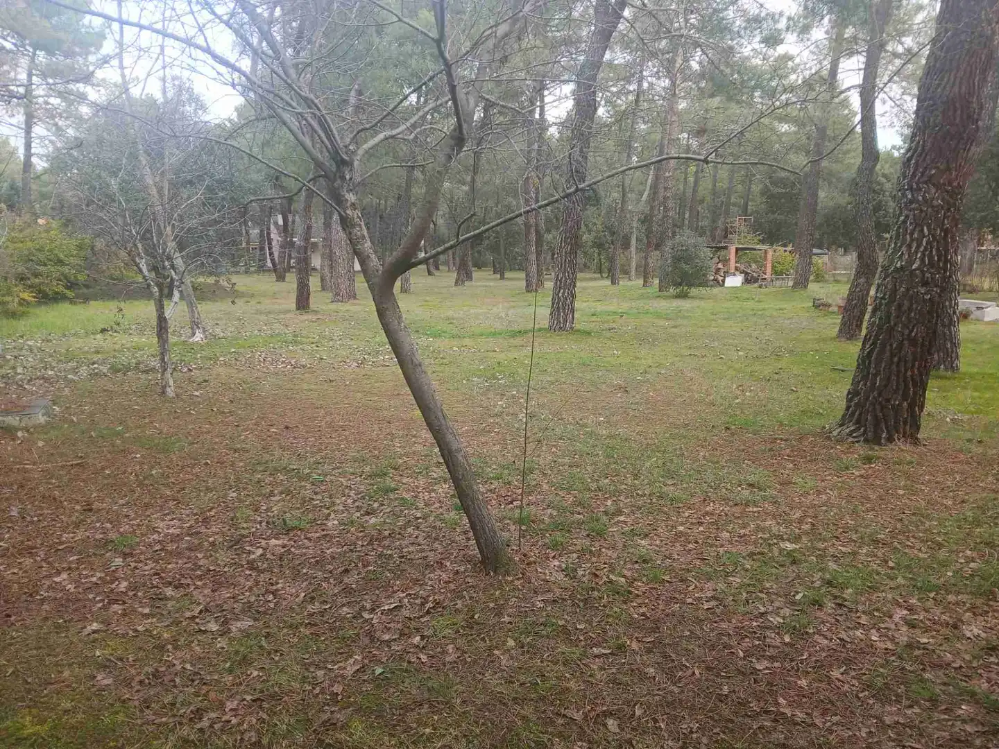 Xalet amb jardí en venda a Marugán, imagen 32