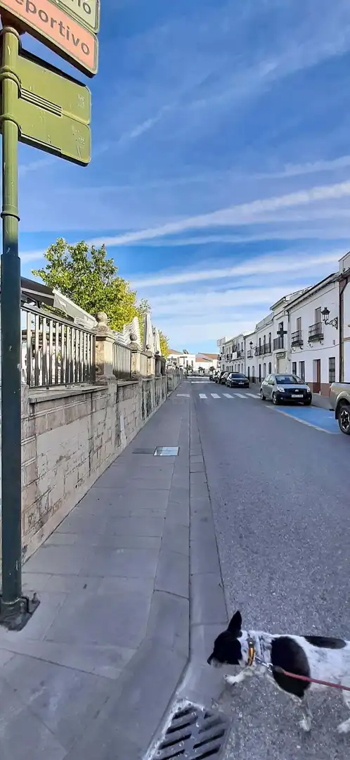 Vista exterior de Casa o chalet en venta en Las Navas de la Concepción con Aire acondicionado y Terraza