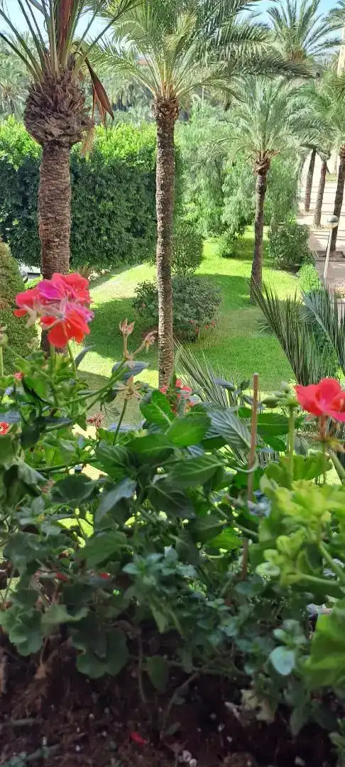 Garten von Wohnung zum Verkauf in Elche ciudad