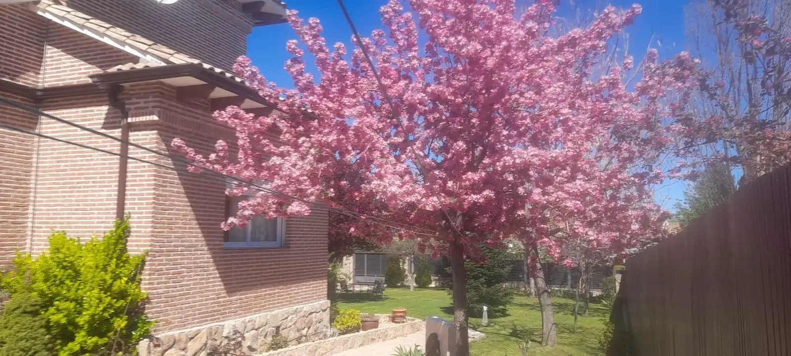 Jardín de Casa o chalet de alquiler en Pedrezuela con Calefacción, Jardín privado y Terraza