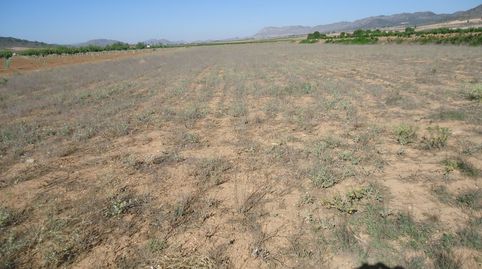 Parcela de 6.466 m2 en Yecla Murcia, immagine 2