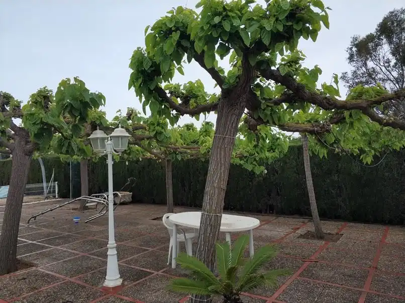 Jardí de Casa o xalet en venda en Castellón de la Plana / Castelló de la Plana amb Aire condicionat, Calefacció i Jardí privat