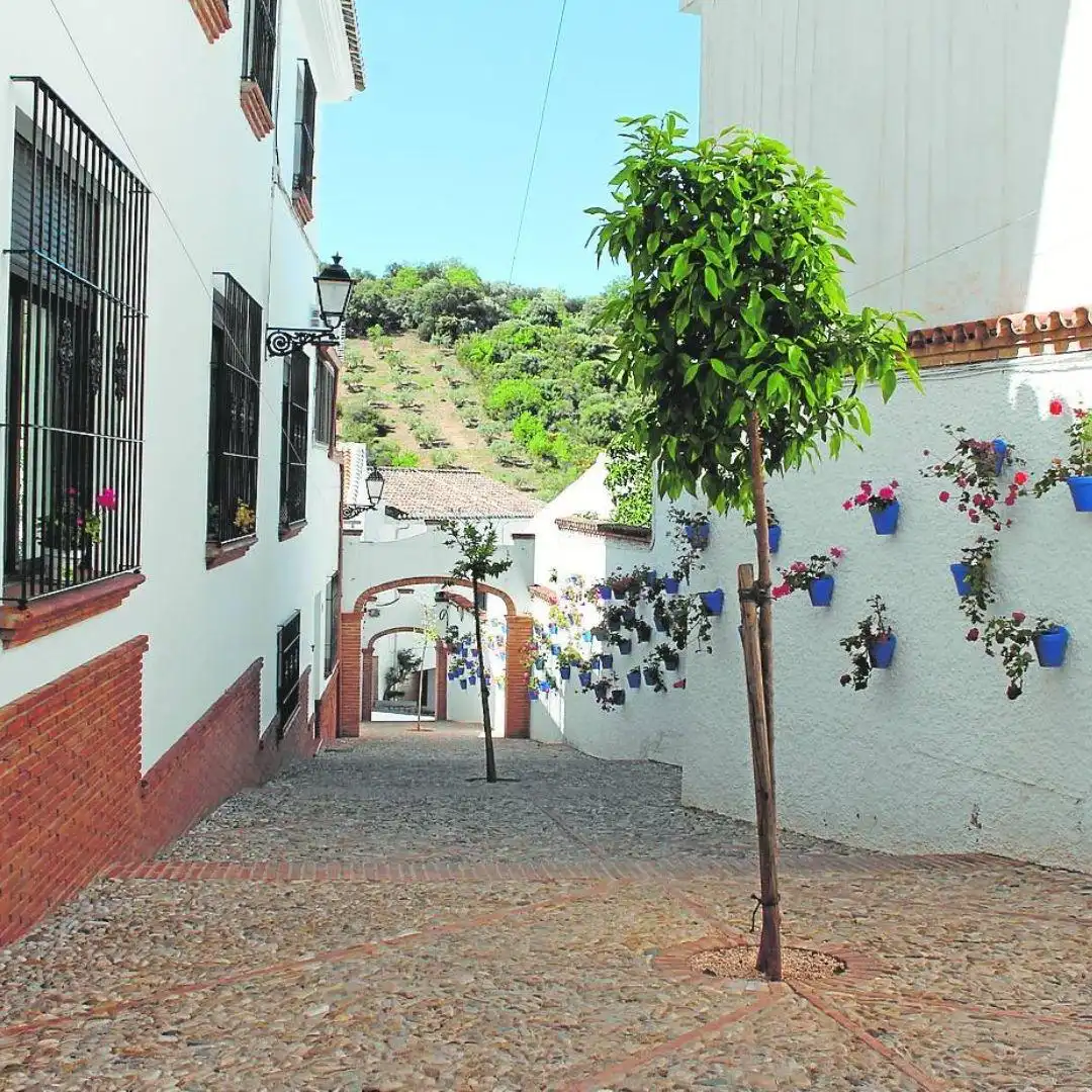 Gewerbefläche zur Übernahme in Villanueva del Rosario, imagen 3