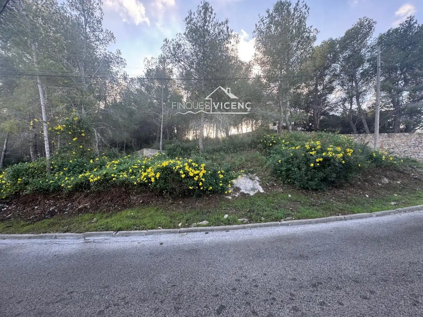 Terreno rustico in vendita a Carrer del Ter, 113