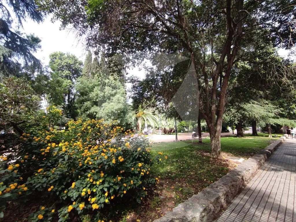 Local comercial en alquiler en Parque de Castelar, imagen 16