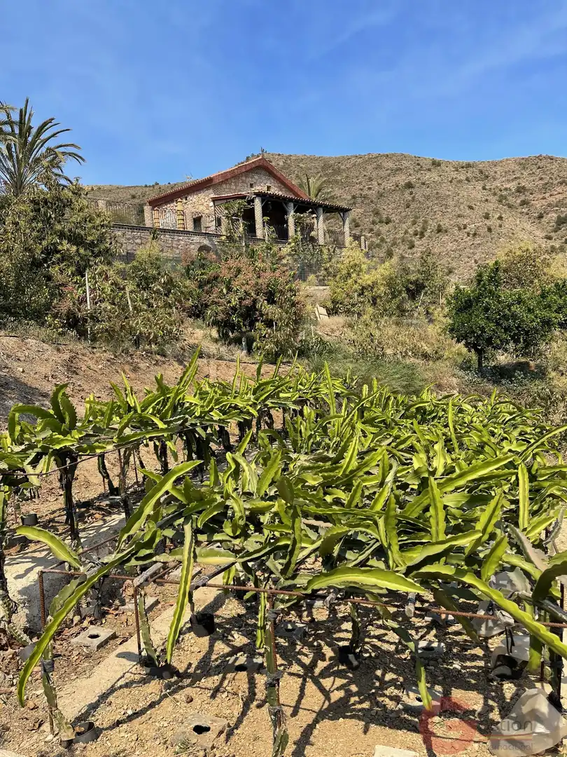 Jardín de Finca rústica en venta en Salobreña con Terraza y Piscina