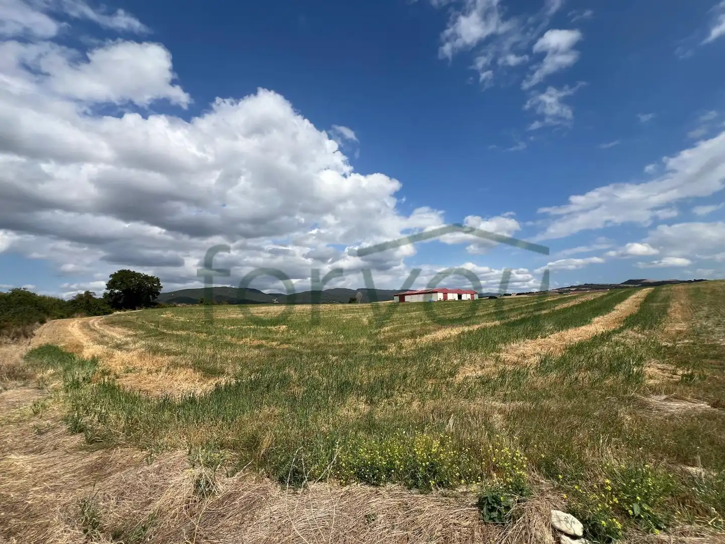Terreno residencial en venta en Calle Calle de Santiago, imagen 6