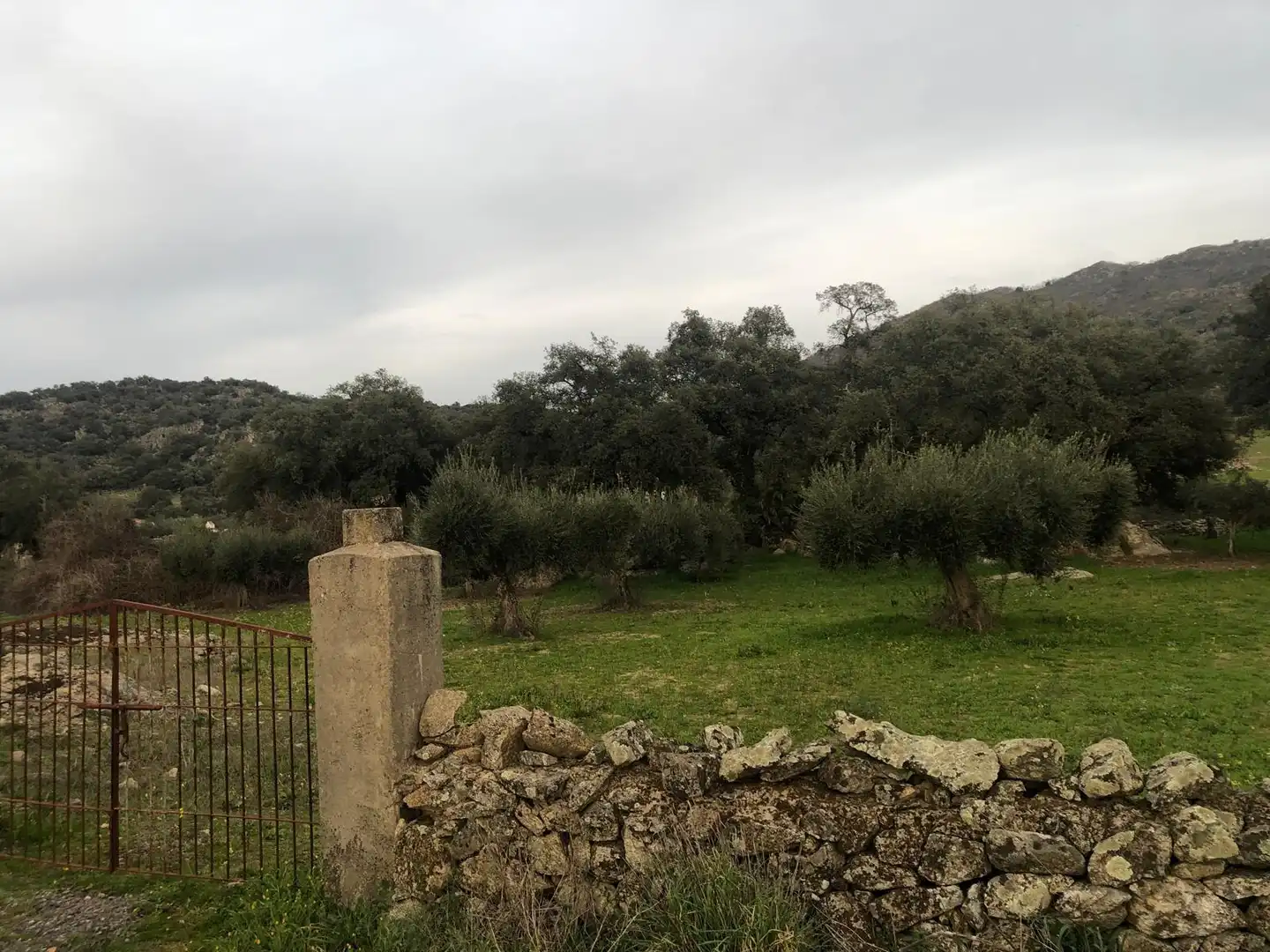 Land for sale in Montánchez