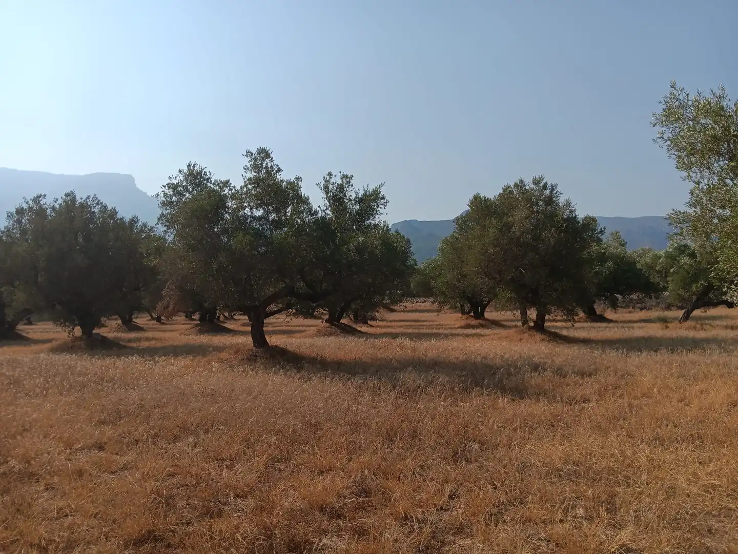 Residencial en venta en Tortosa