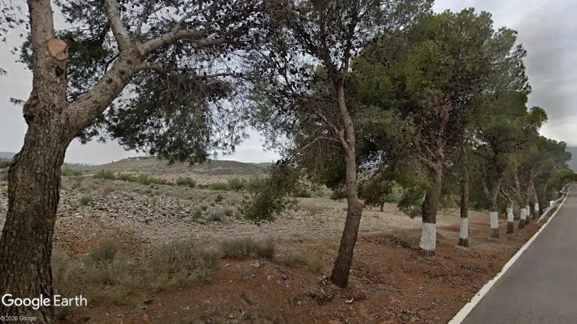 Terreno rustico in vendita a Alboloduy, imagen 3