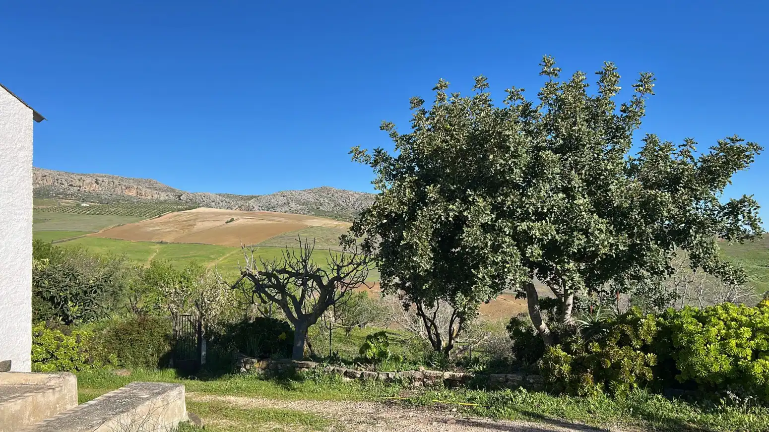 Houses for sale in Ardales