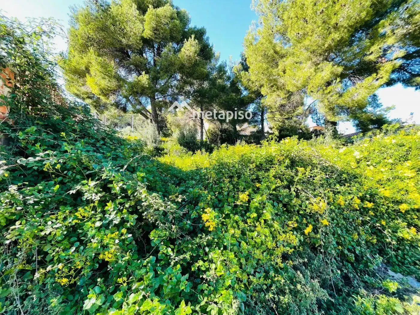 Terrain rustique à vendre à Bellvei, imagen 5