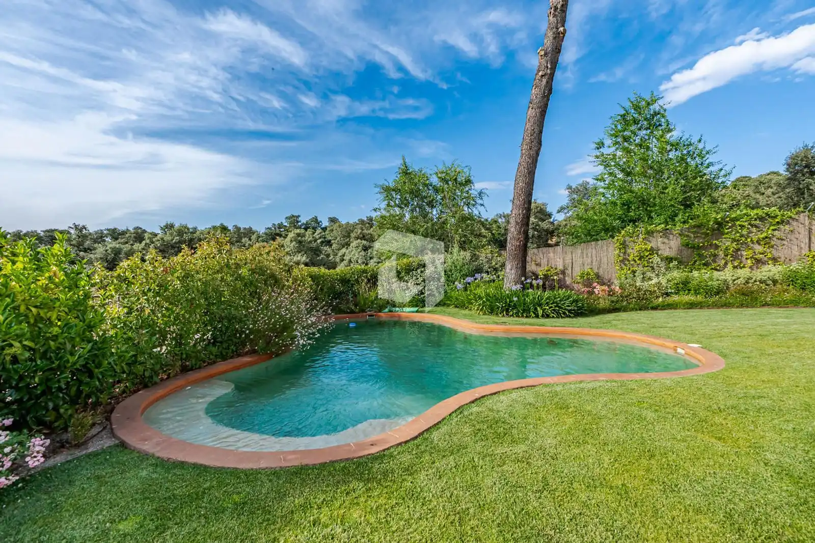 Piscina de Casa o chalet de alquiler en Madrid con Aire acondicionado, Calefacción y Terraza