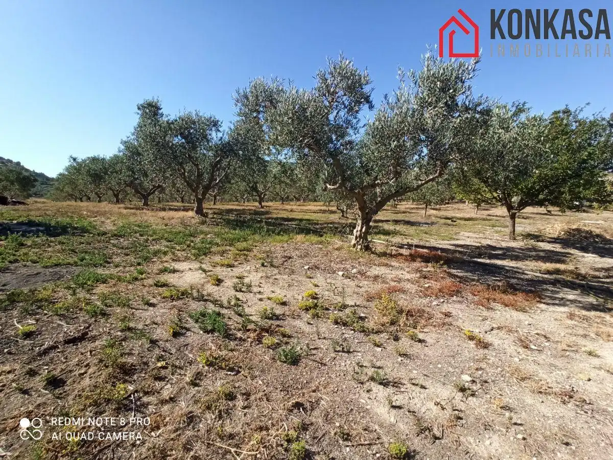 Chalet en venta en Arcos de la Frontera, imagen 28