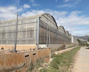 Vista exterior de Nau industrial en venda en Castellón de la Plana / Castelló de la Plana