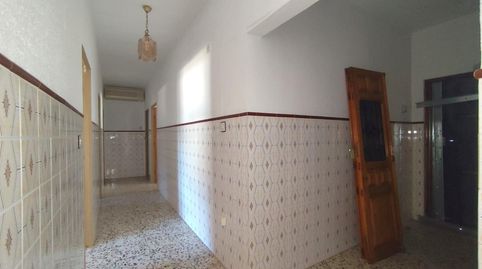 Edificio con tres viviendas y amplios espacios exteriores en Serradilla, immagine 5