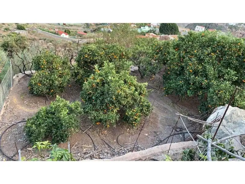 Country homes for sale in El Horno