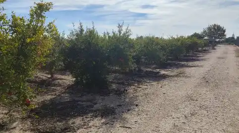 Terrain rustique à vendre à La Foia - Daimés - Asprella, imagen 3