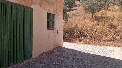 Foto 3 de Finca rústica en venda a Avenida Manuel España Lobo, 18, Almáchar, Málaga