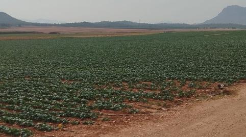 Photo 2 of Land for sale in Cv-809, 171, Partidas Norte, Alicante