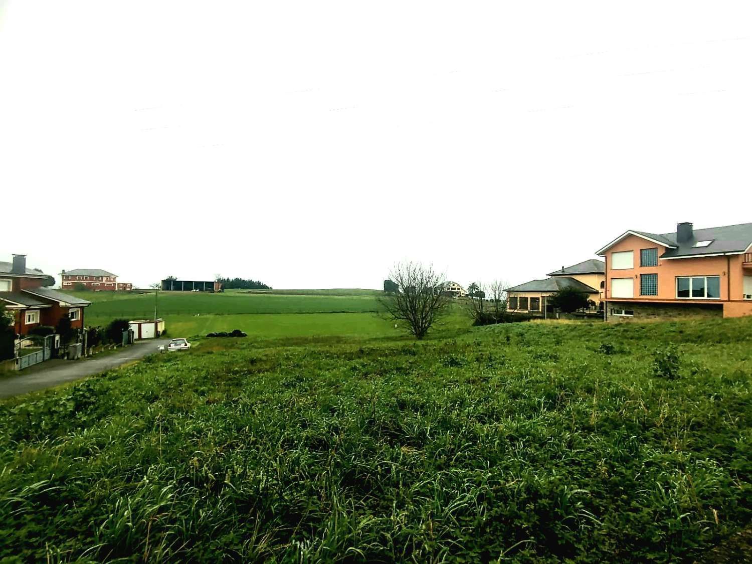Terreny industrial en venda en Navia